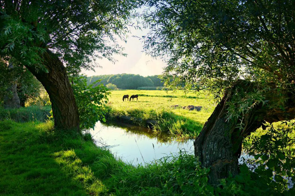 Natuur en landschap